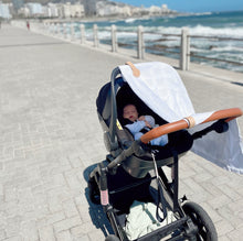 Load image into Gallery viewer, The Stella Clip