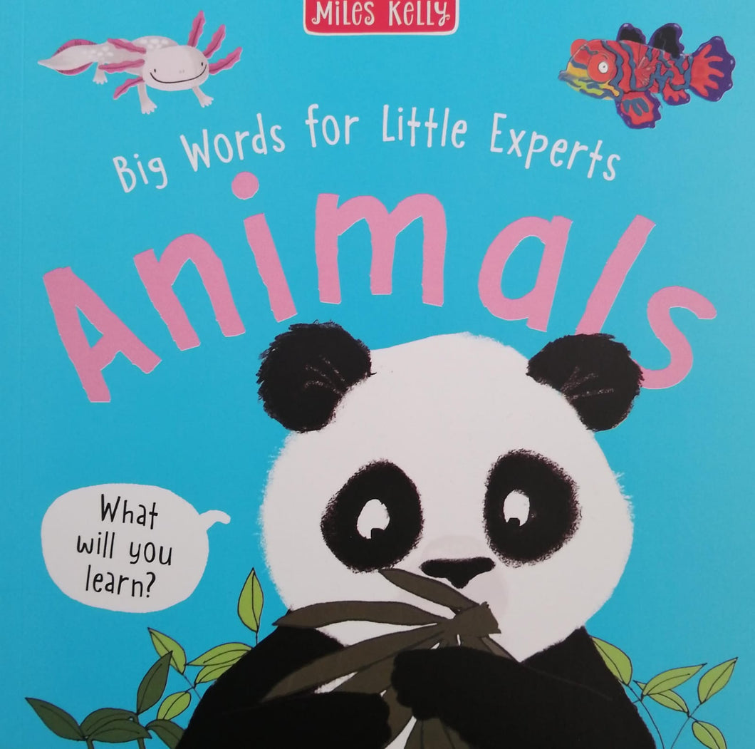 Books - Big Words for Little Experts